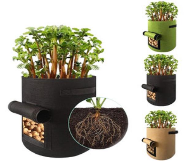 Túi vải không dệt trồng cây (Nonwoven Grow Bag)